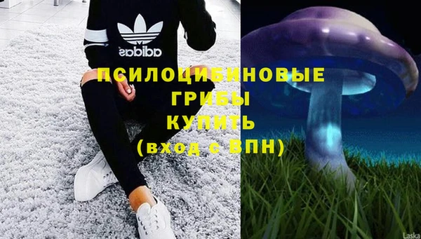 таблы Алексеевка