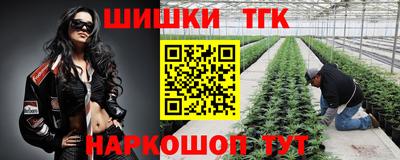 скорость Ростов Великий
