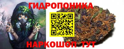 трава Уссурийск