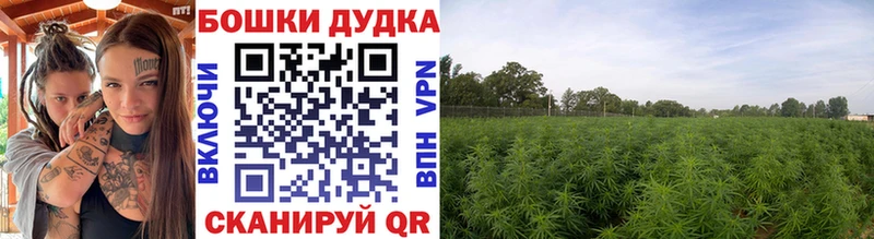 Бошки марихуана SATIVA & INDICA  где продают   Омск 